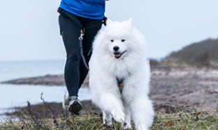 Sådan undgår du ledproblemer